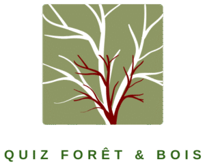 Logo Quiz Forêt et Bois avec arbre stylisé